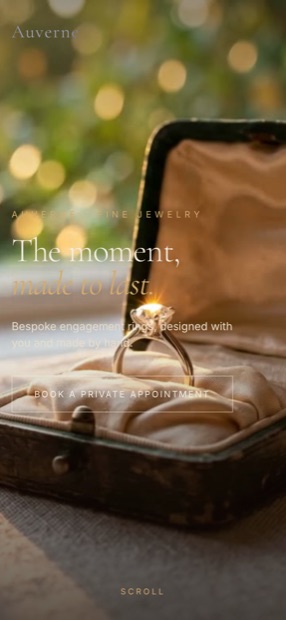 The ring in its velvet box filling a portrait frame, the headline and one button over it.